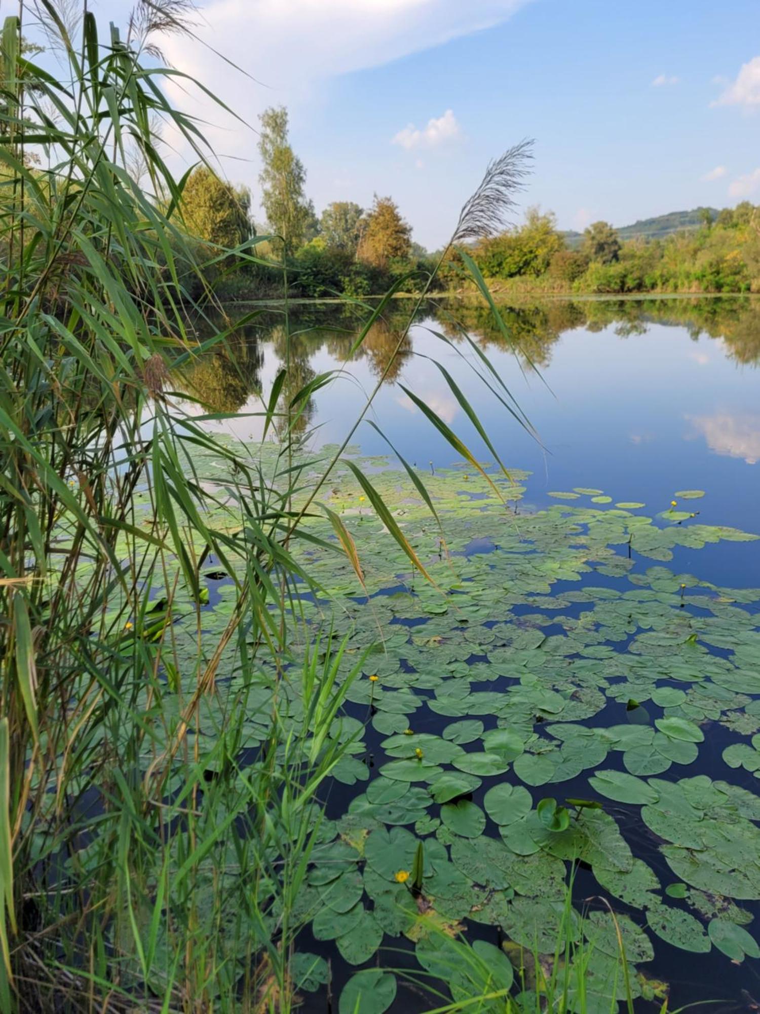 Manipura Szemenyecsörnye Exterior foto