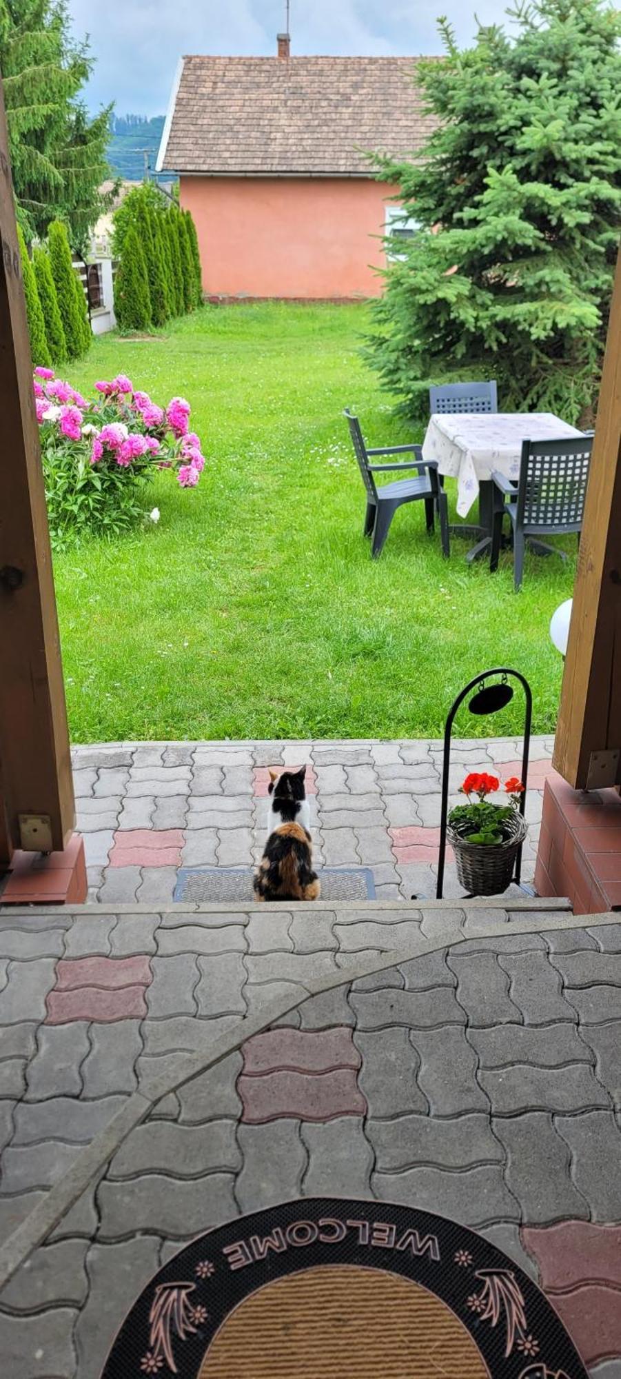 Manipura Szemenyecsörnye Exterior foto